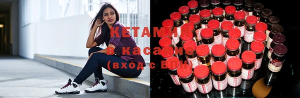 шишки Приозерск