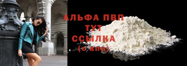 шишки Приозерск
