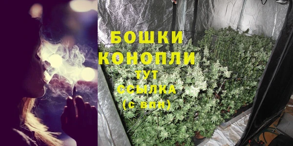 шишки Приозерск