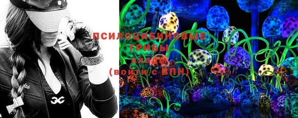 PSILOCYBIN Протвино