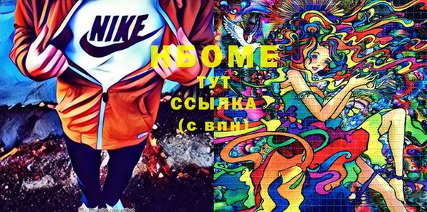 шишки Приозерск