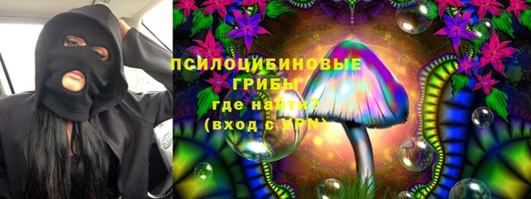 шишки Приозерск