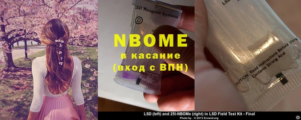 шишки Приозерск