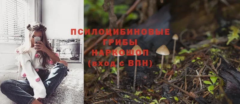 Псилоцибиновые грибы Magic Shrooms Алагир