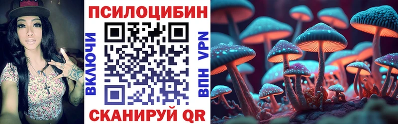Псилоцибиновые грибы Cubensis  мега   Алагир 